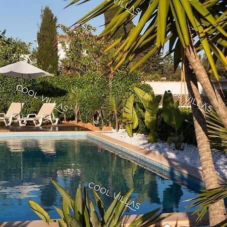 Villa Gardenia - Sea View, Wifi, Games Room Albufeira Dış mekan fotoğraf
