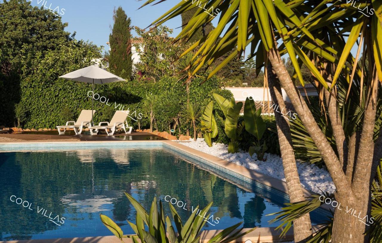 Villa Gardenia - Sea View, Wifi, Games Room Albufeira Dış mekan fotoğraf